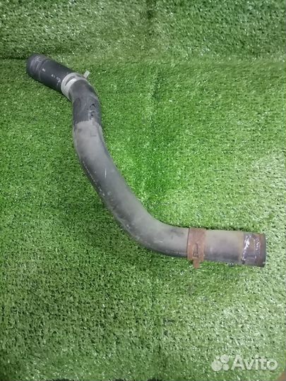 Патрубок охлаждения (радиатора) 19502-PLC-J00нижни