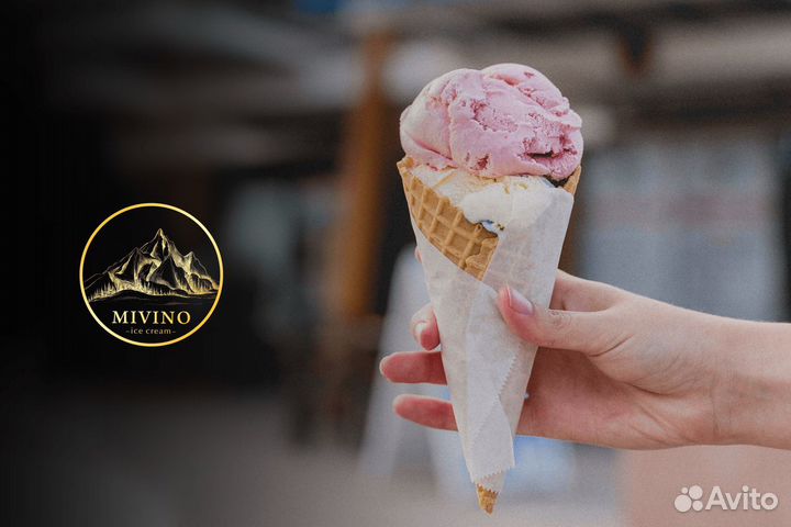 Бизнес сфере крафтового мороженого с 