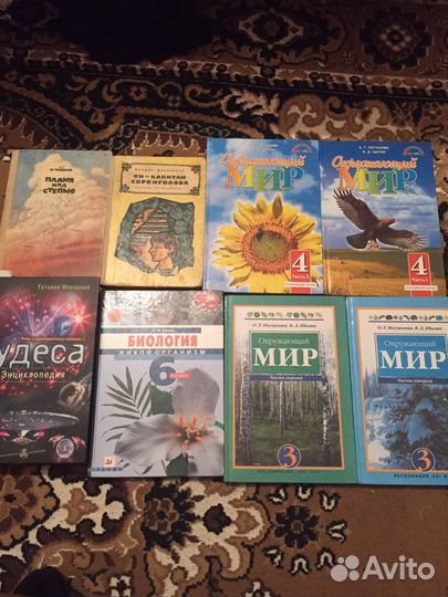 Школьные книги