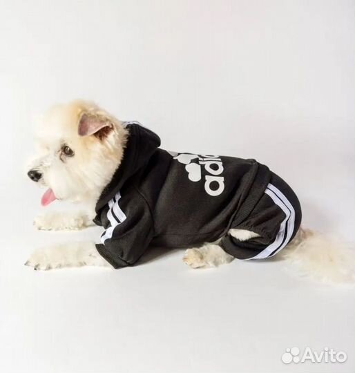 Костюм комбинезон для собак мелких пород