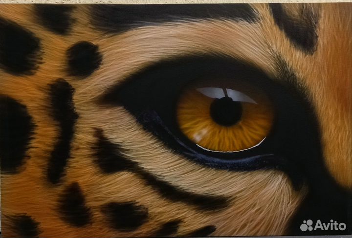 Аэрография, роспись, рисунки, авто-мото, стены