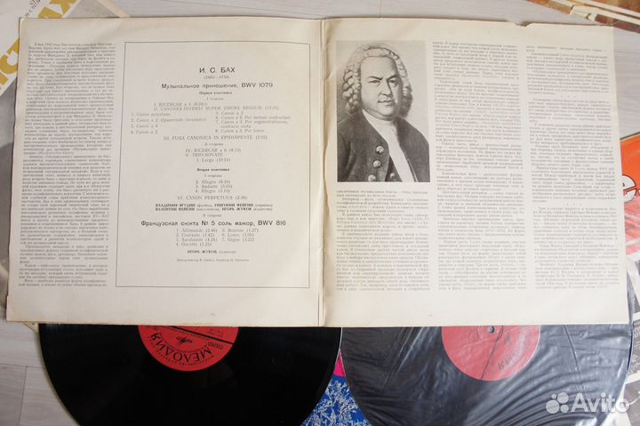 Бах – Музыкальное Приношение / Французская Сюита 5