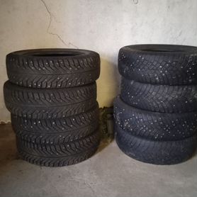 КАМА NU 703 19.5/8 R6.5