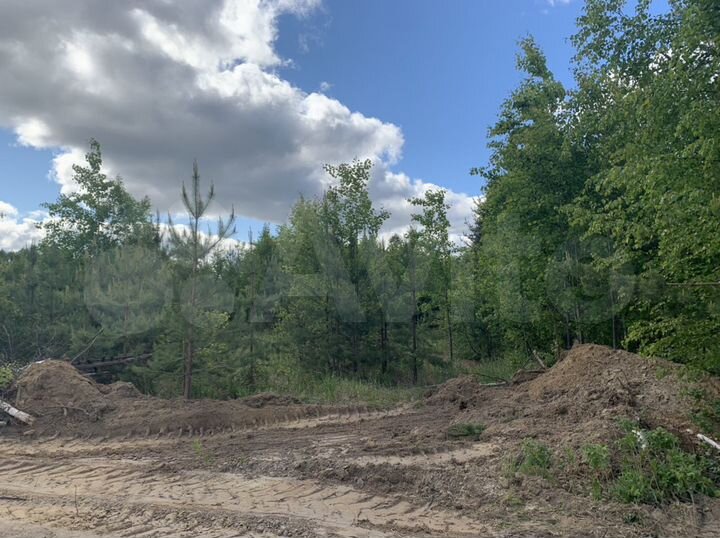 Участок 11 сот. (СНТ, ДНП)