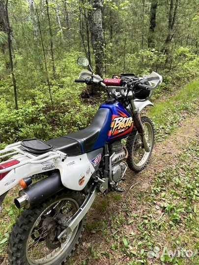 XR250 baja