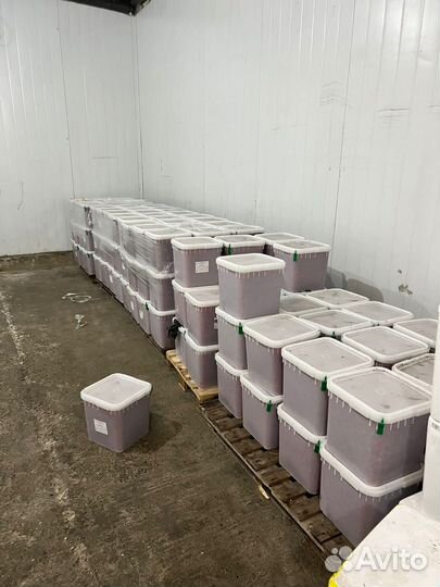 Икра горбуши оптом в самаре