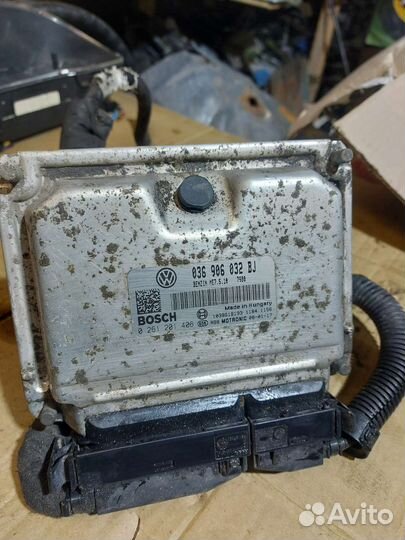 Эбу Блок управления двигателем skoda octavia tour