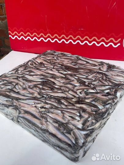 Мойва свежемороженная опт
