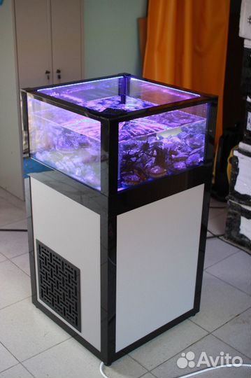 Аквариумы и морские витрины для устриц