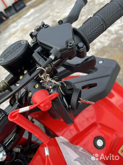 Квадроцикл C8 NEW 2024