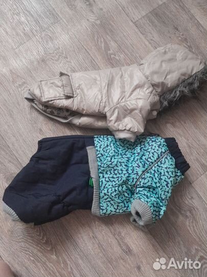 Одежда для средних собак