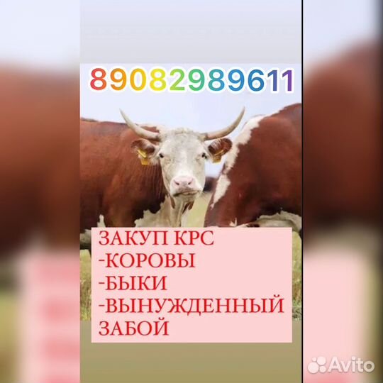 Мясо