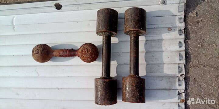 Гантели,Блины