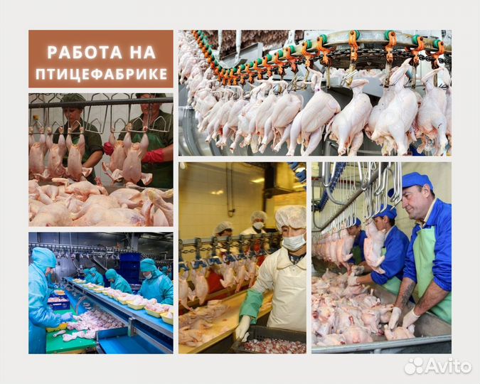 Упаковщики(цы) с проживанием