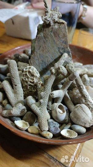 Декор (кораллы) для морского аквариума