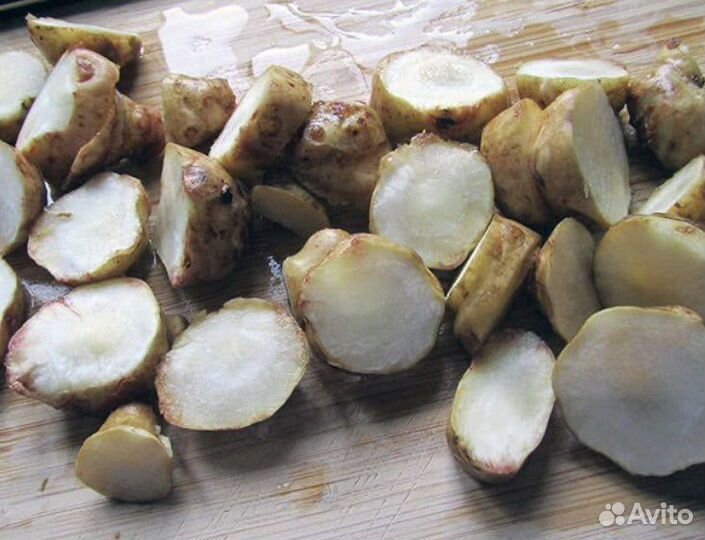 Топинамбур корни на посадку