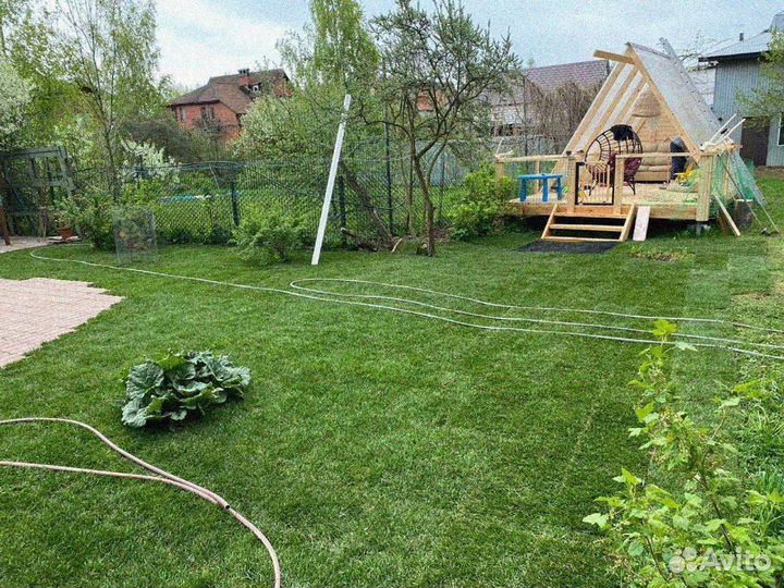 Рулонный газон 