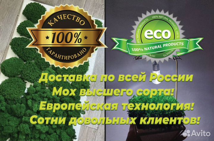 Стабилизированный мох кочки,боровой мох