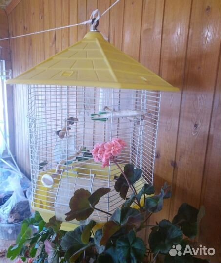 Клетка-фонарь для попугаев и певчих птиц