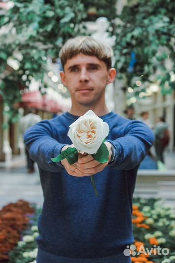 Блогер социальной активности