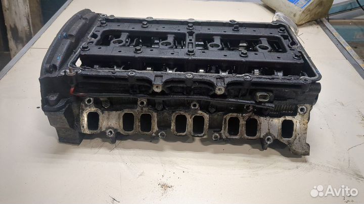 Головка блока (ГБЦ) Ford Transit, 2010