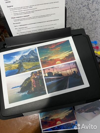 Цветной струйный мфу принтер с снпч