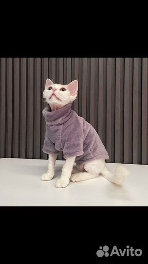 Одежда для маленькой собаки