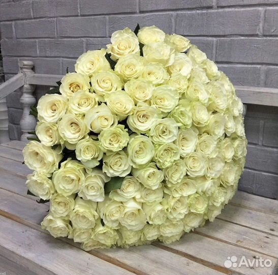 Розы красные. Букет из роз. Розы белые.51.35.25.1