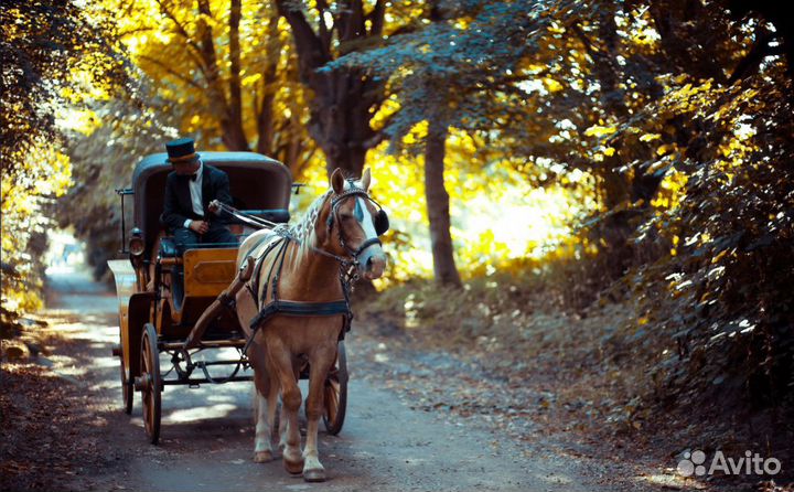 Продам карету
