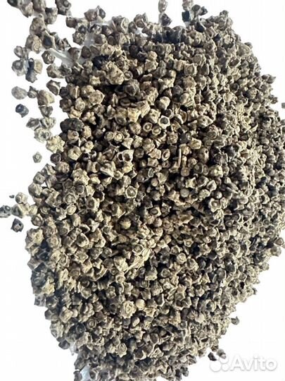 Семена свеклы кормовой оптом 10 кг