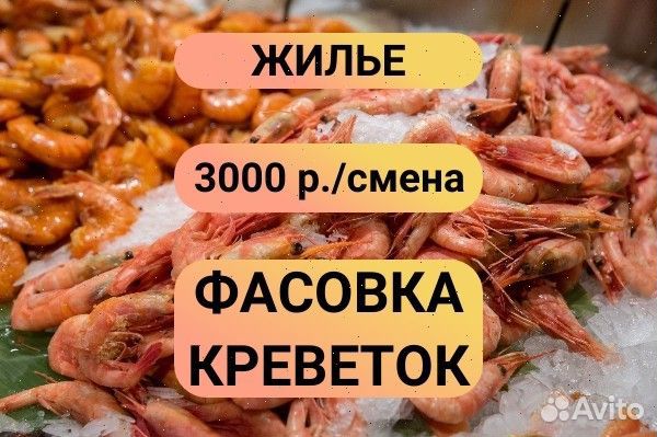 Фасовщик вахта
