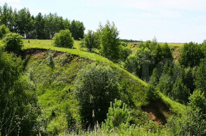 Участок 538 га (ИЖС)