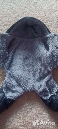 Одежда для маленьких собак