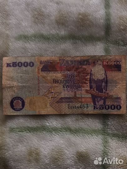 Замбия 5000 квача 1992