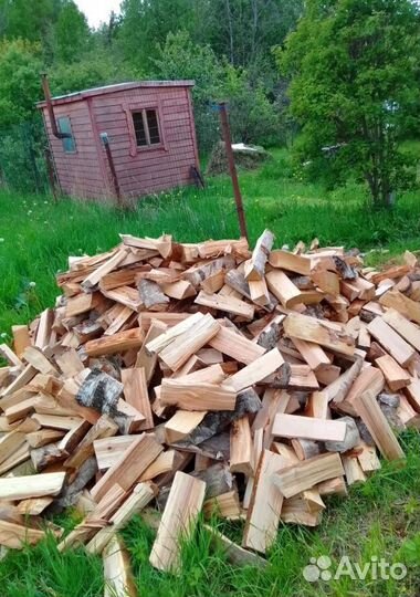 Дрова с доставкой по области любые