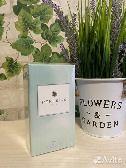 Avon Perceive Dew