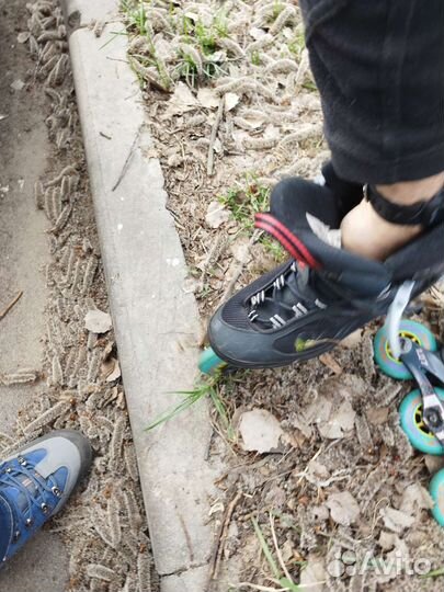 Ролики К2 Moto Германия