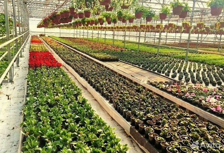 Теплица из поликарбоната