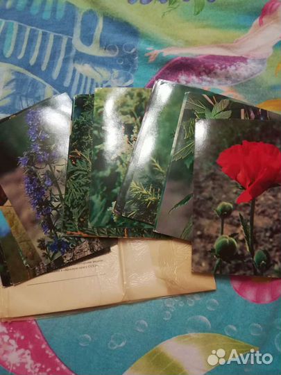 Наборы открыток