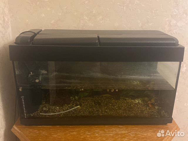 Аквариум