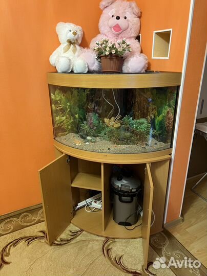 Аквариум Juwel 180 литров