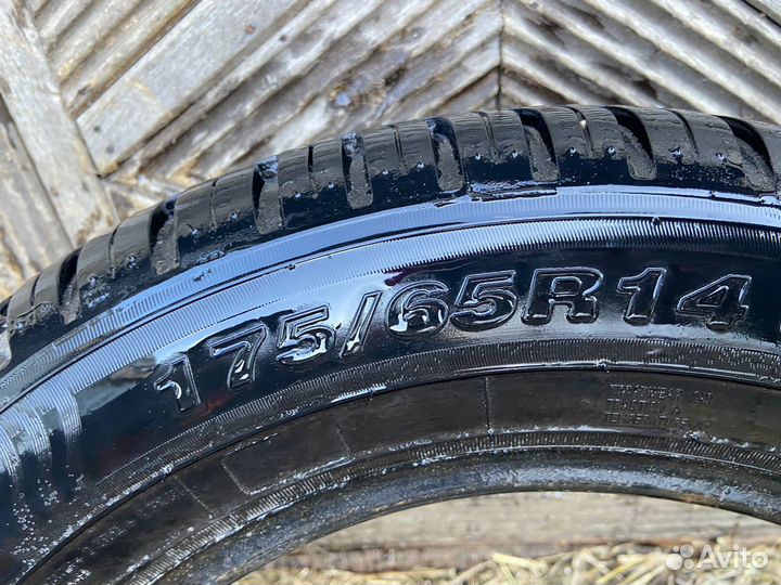 Alaska 260 175/65 R14