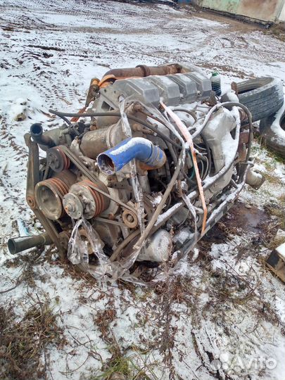 Двигатель тмз 8481