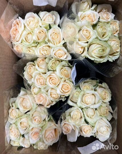 Цветы оптом - розы оптом