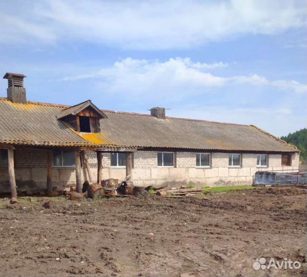 Продам животноводческую ферму