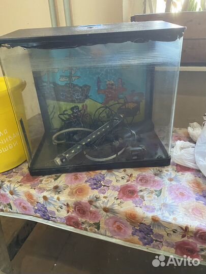 Аквариум