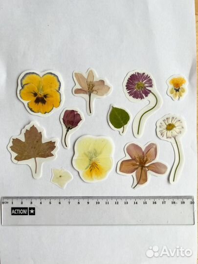 Ботанические наклейки (набор 11 штук)