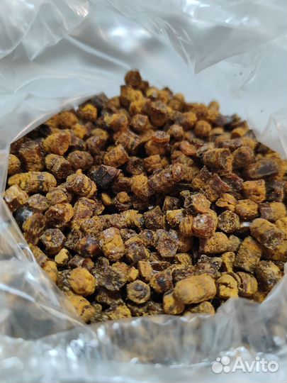 Перга пчелиная продам