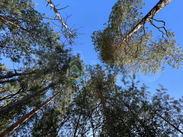 Участок 24,9 сот. (СНТ, ДНП)