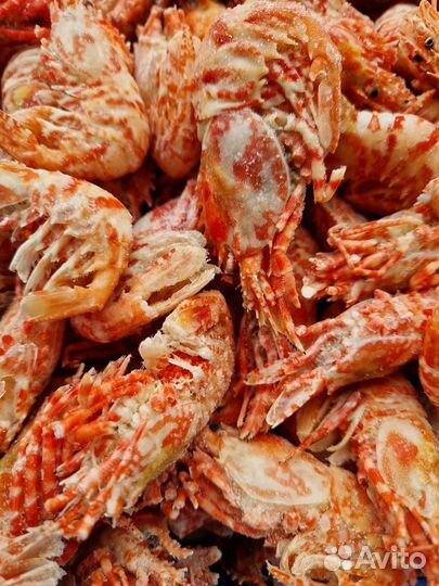Креветка гренландская н/р в/м 70/90 Драконы